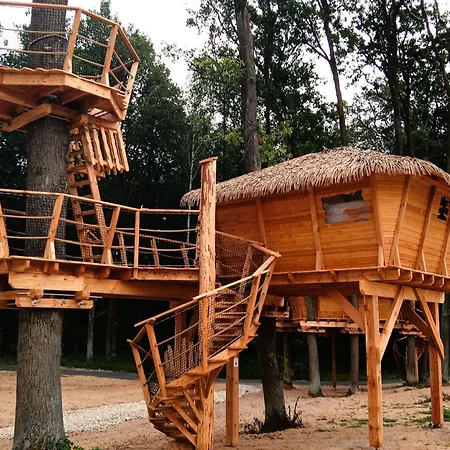 Treehouse 2 By Interhome Holiday home *